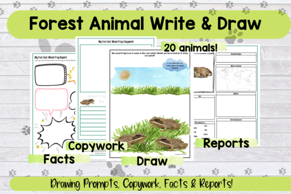 Forest Animal Drawing Prompts: A Creative Nature Study